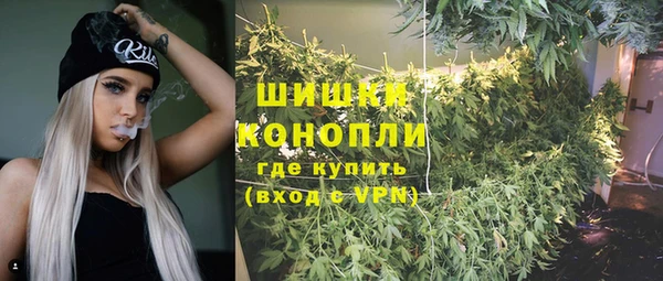 прущая мука Богородицк