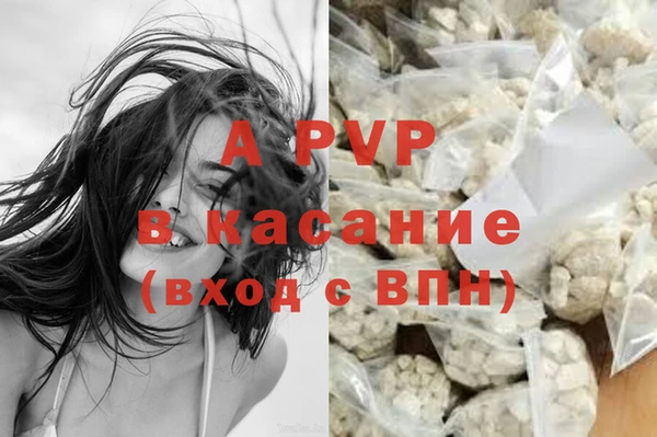 дмт Белокуриха