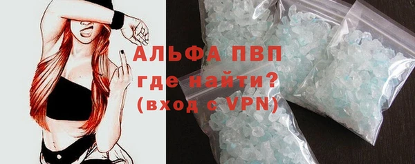 гидра Беслан
